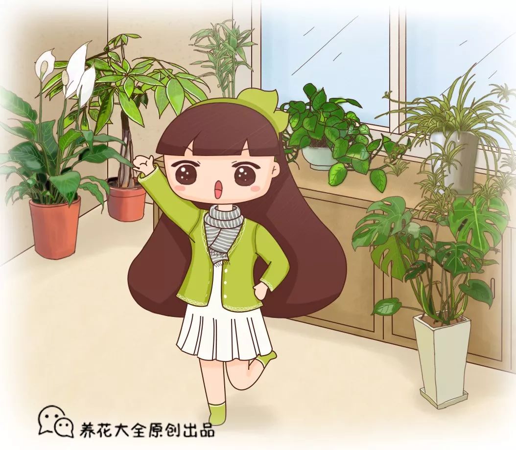收藏 | 室內(nèi)養(yǎng)花，記住這5點(diǎn)，養(yǎng)活1000盆花