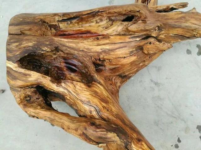 多肉藝術花盆_花盆藝術多肉圖片_多肉創(chuàng)意花盆