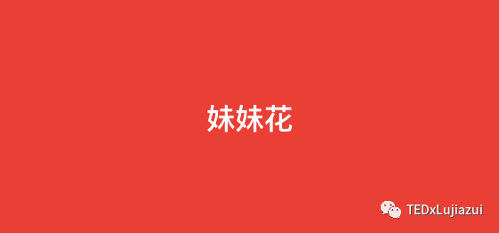 <strong>情人節(jié)｜女生該送男生什么花？</strong>