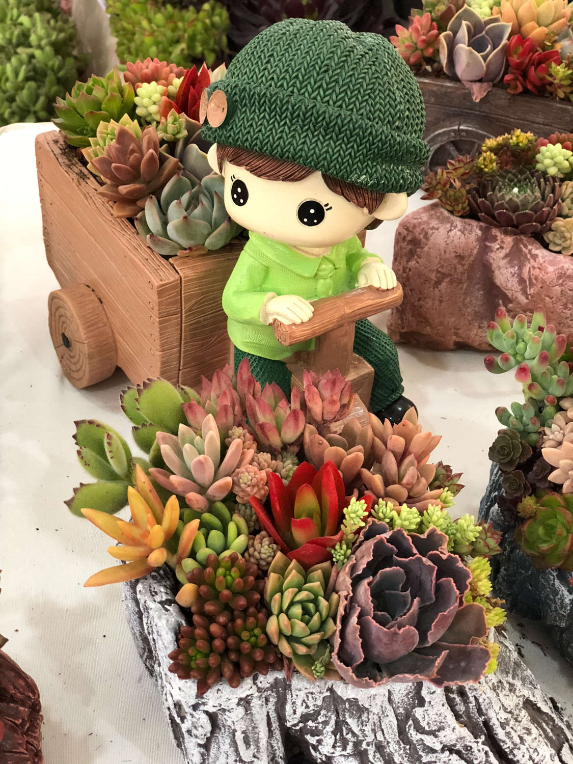 多肉開(kāi)花剪下來(lái)可以種嗎_多肉開(kāi)花要把花剪掉嗎_多肉開(kāi)花剪掉后怎么處理