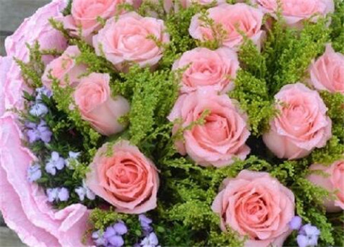 含義鮮花數(shù)量的詞語(yǔ)_鮮花數(shù)量的含義_鮮花數(shù)量花語(yǔ)是什么