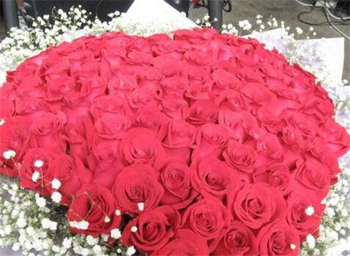 鮮花數(shù)量花語(yǔ)是什么_鮮花數(shù)量的含義_含義鮮花數(shù)量的詞語(yǔ)