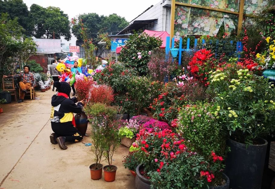 花卉批發(fā)中心_花卉基地批發(fā)在哪里_仿真花卉批發(fā)市場地址