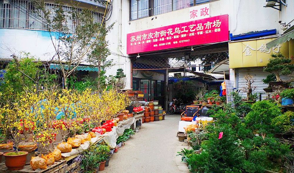 花卉批發(fā)中心_花卉基地批發(fā)在哪里_仿真花卉批發(fā)市場地址