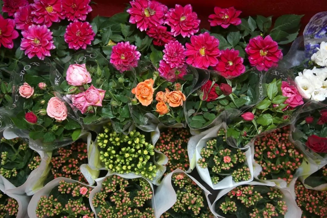 花卉基地批發(fā)在哪里_花卉批發(fā)中心_仿真花卉批發(fā)市場地址