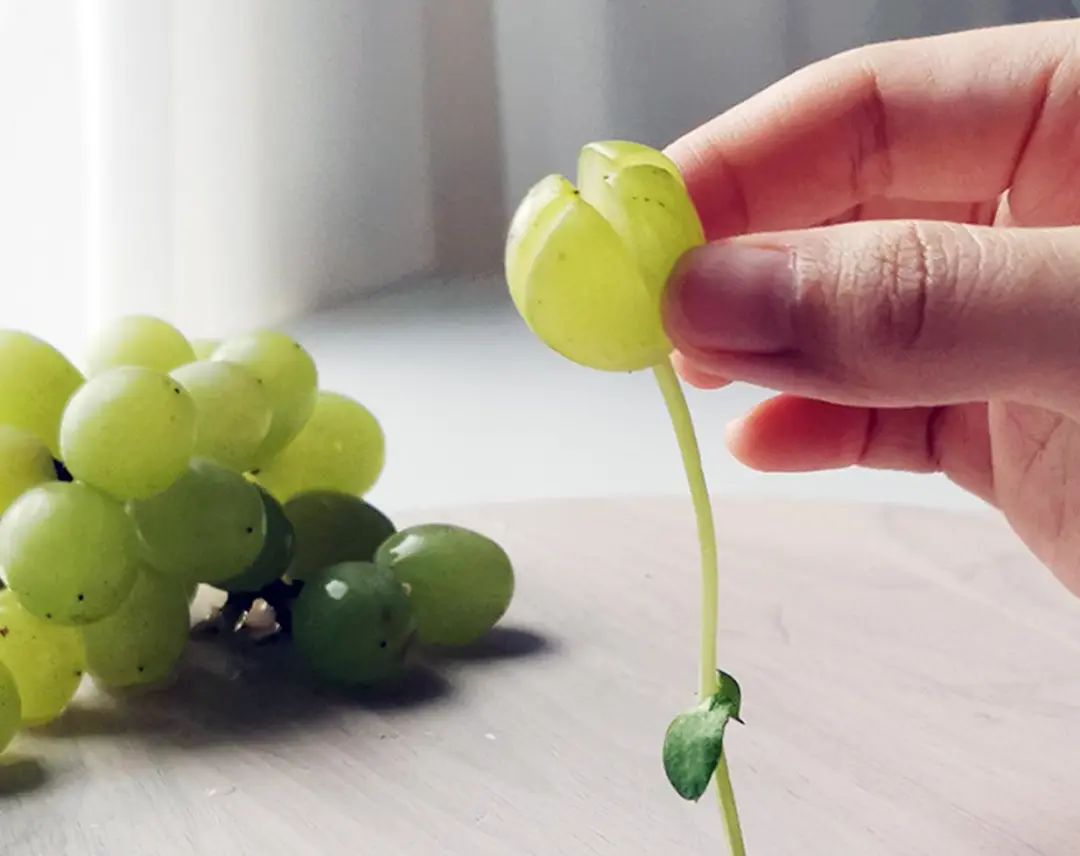可以吃的浪漫花束_花束浪漫文案_花束浪漫夢幻圖片