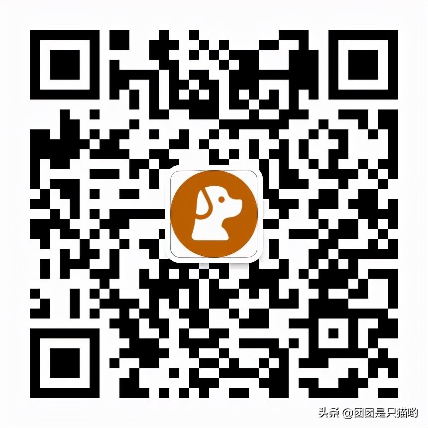 貓咪驅(qū)蟲(chóng)多久一次_貓咪驅(qū)蟲(chóng)藥便宜又好用_驅(qū)蟲(chóng)貓咪多久一次